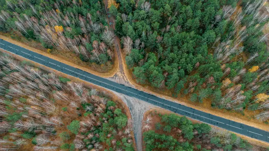 Vue aérienne d'une route croisant un chemin de terre au milieu d'une forêt aux couleurs d'automne