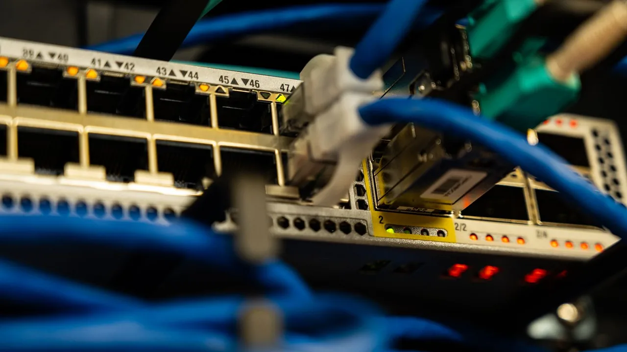 Gros plan sur des câbles Ethernet bleus branchés dans un commutateur réseau