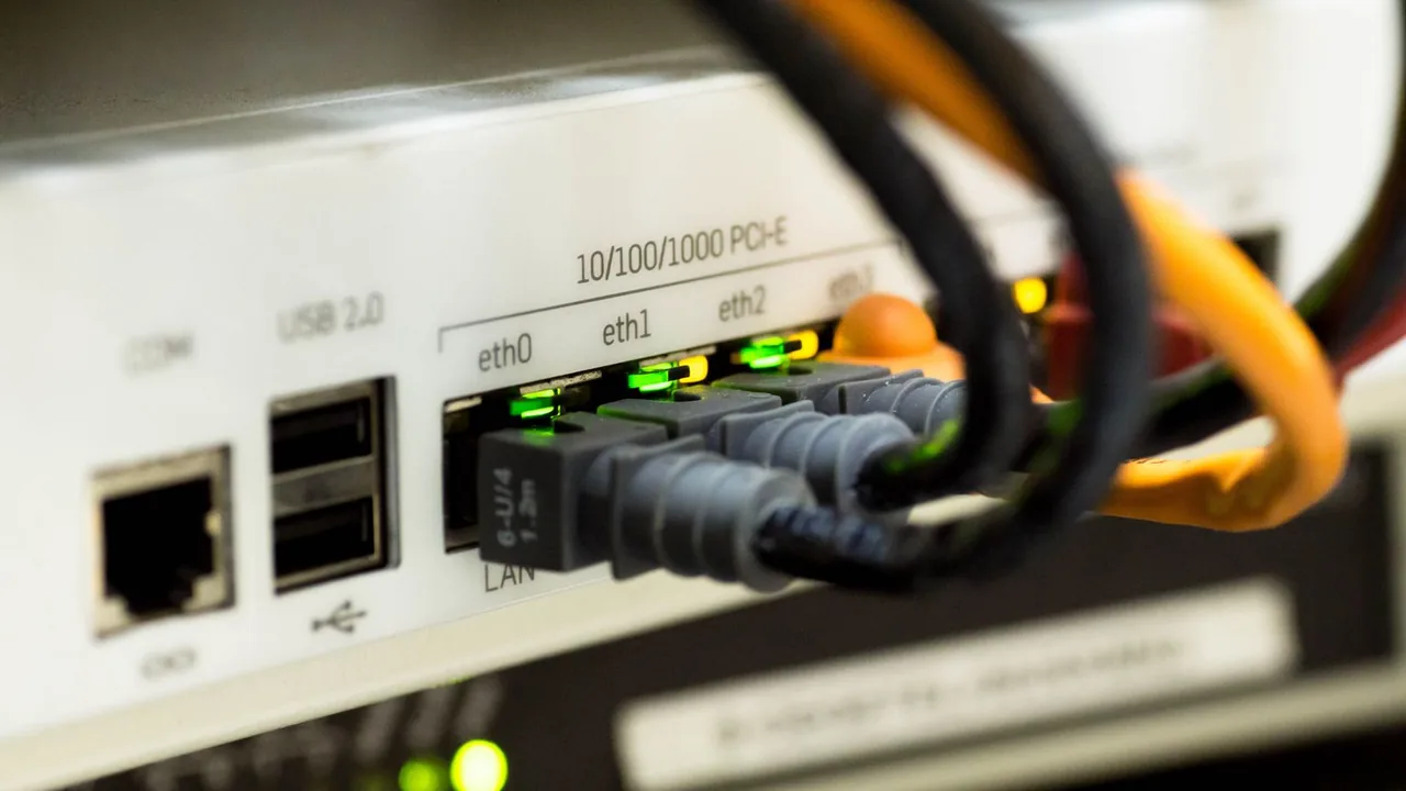 Gros plan de câbles Ethernet branchés sur un routeur