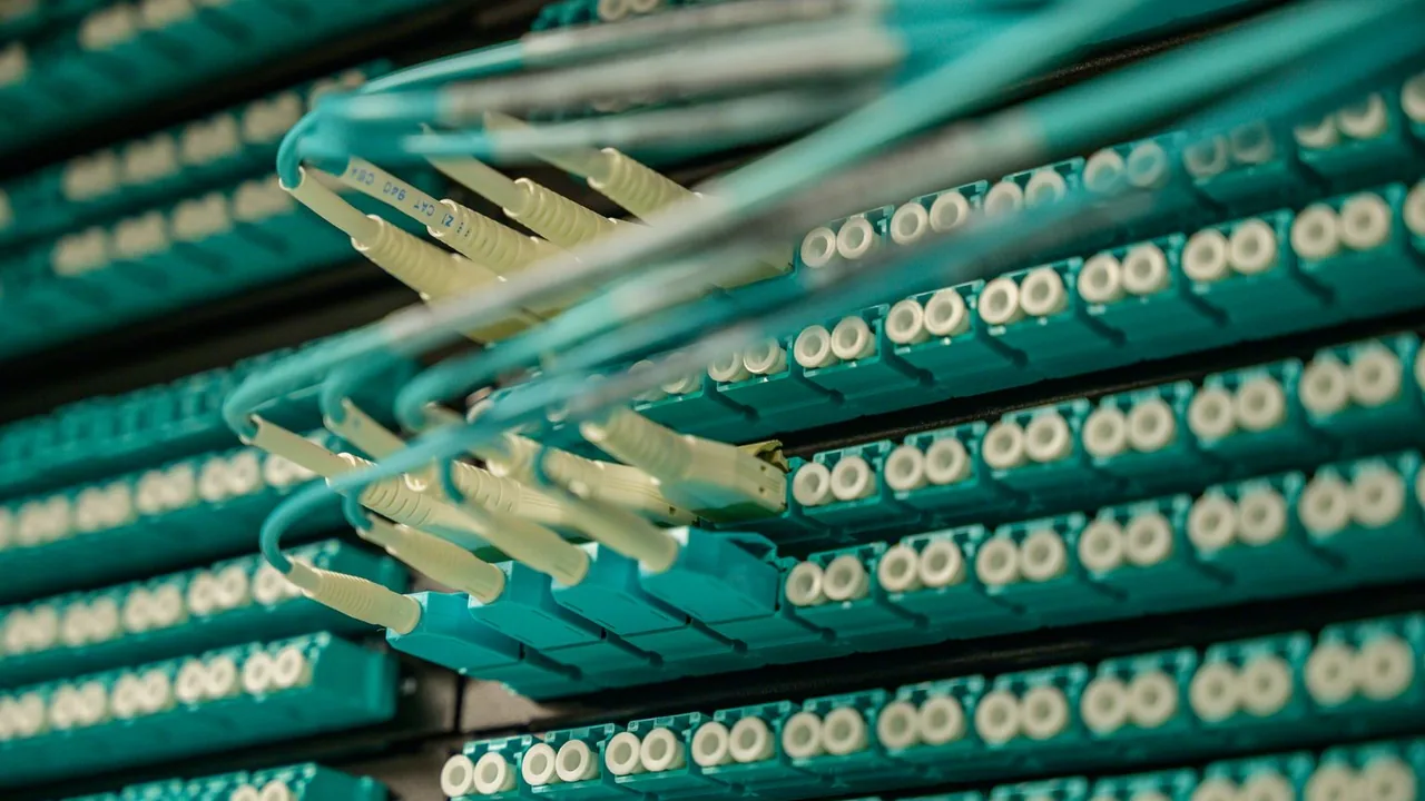 Câbles de fibre optique branchés sur un panneau de brassage de salle serveurs