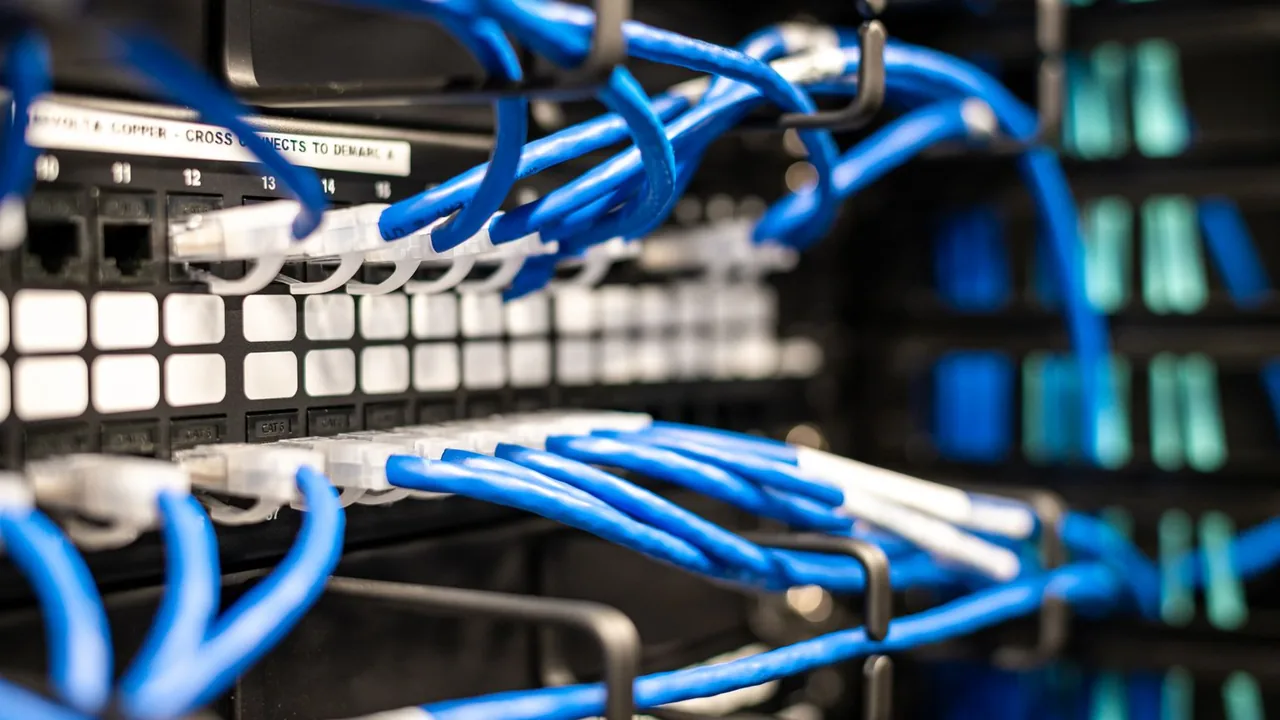Câbles réseau bleus branchés sur un panneau de brassage dans une baie informatique.