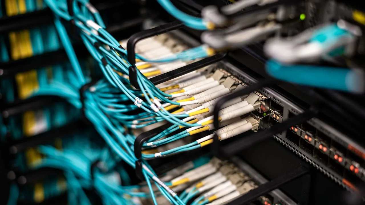 Gros plan sur des câbles de fibre optique rangés et branchés dans une baie de serveurs.