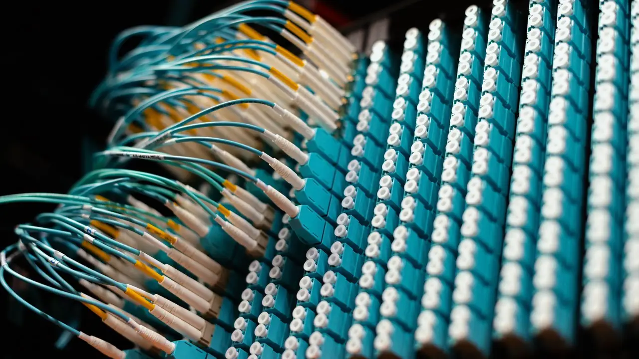 Câbles de fibre optique organisés sur un panneau de raccordement