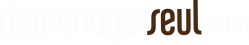 DemenagerSeul.com